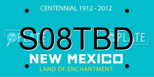 S08TBD New Mexico License Plate