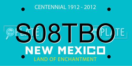 S08TBO New Mexico License Plate