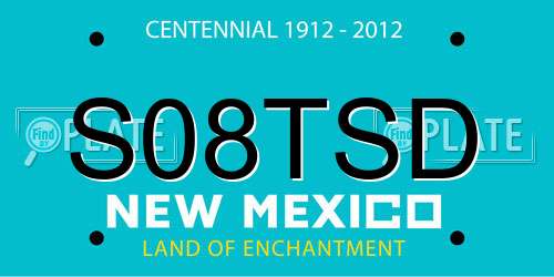 S08TSD New Mexico License Plate