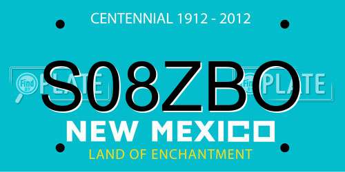 S08ZBO New Mexico License Plate