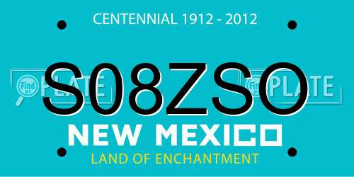 S08ZSO New Mexico License Plate