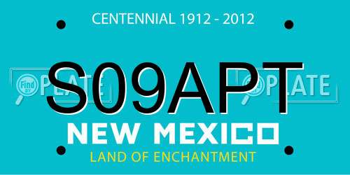 S09APT New Mexico License Plate