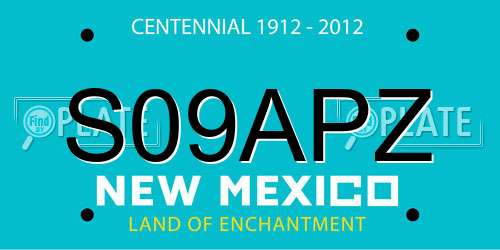 S09APZ New Mexico License Plate