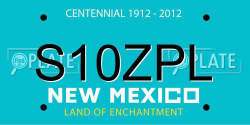 S10ZPL New Mexico License Plate