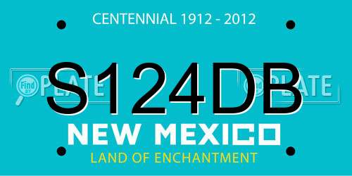 S124DB New Mexico License Plate