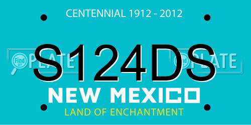 S124DS New Mexico License Plate