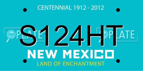 S124HT New Mexico License Plate