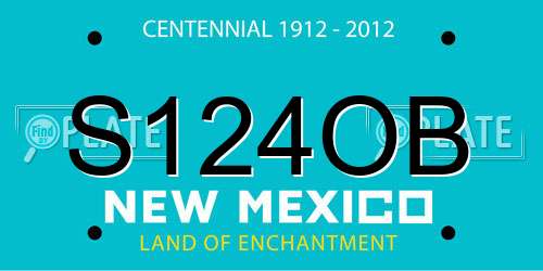 S124OB New Mexico License Plate