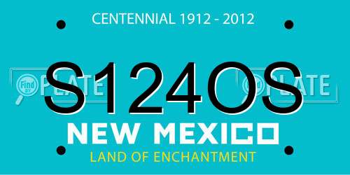 S124OS New Mexico License Plate