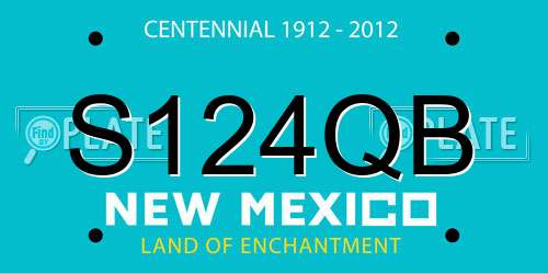 S124QB New Mexico License Plate