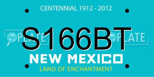 S166BT New Mexico License Plate