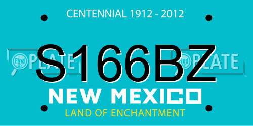 S166BZ New Mexico License Plate
