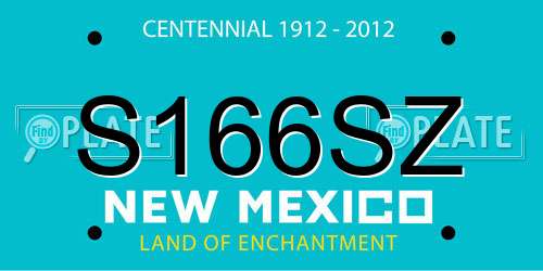 S166SZ New Mexico License Plate