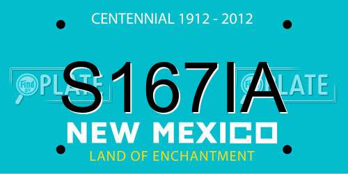 S167IA New Mexico License Plate