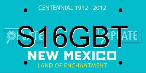 S16GBT New Mexico License Plate