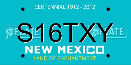 S16TXY New Mexico License Plate