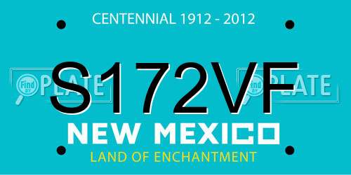 S172VF New Mexico License Plate