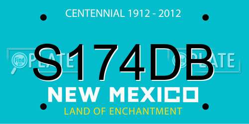 S174DB New Mexico License Plate