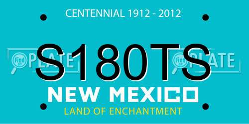 S180TS New Mexico License Plate