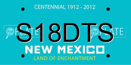 S18DTS New Mexico License Plate