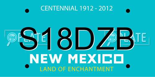 S18DZB New Mexico License Plate
