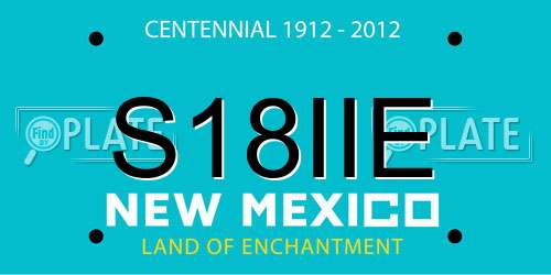 S18IIE New Mexico License Plate