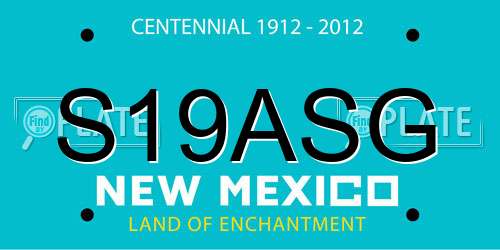 S19ASG New Mexico License Plate