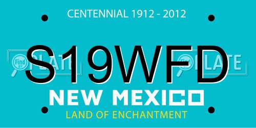 S19WFD New Mexico License Plate
