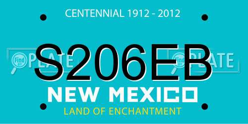 S206EB New Mexico License Plate