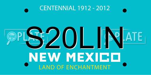 S20LIN New Mexico License Plate