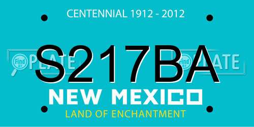 S217BA New Mexico License Plate