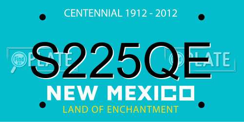 S225QE New Mexico License Plate