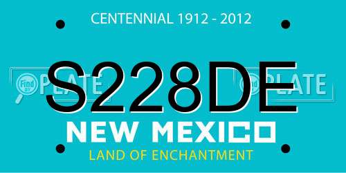 S228DE New Mexico License Plate