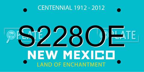 S228OE New Mexico License Plate