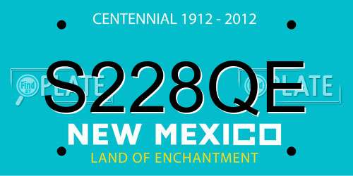 S228QE New Mexico License Plate