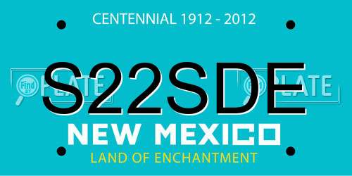 S22SDE New Mexico License Plate