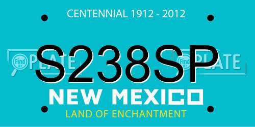 S238SP New Mexico License Plate