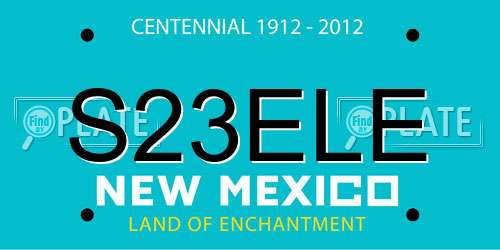 S23ELE New Mexico License Plate