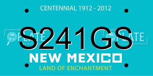 S241GS New Mexico License Plate