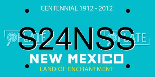 S24NSS New Mexico License Plate