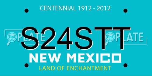 S24STT New Mexico License Plate