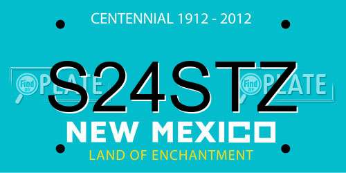 S24STZ New Mexico License Plate