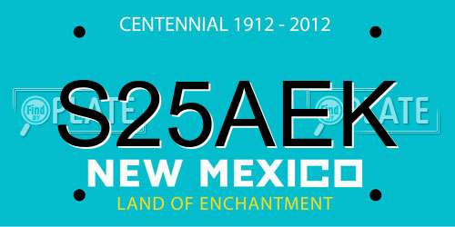 S25AEK New Mexico License Plate