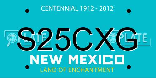 S25CXG New Mexico License Plate