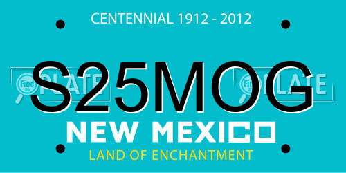 S25MOG New Mexico License Plate
