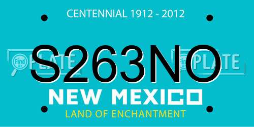 S263NO New Mexico License Plate