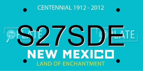 S27SDE New Mexico License Plate