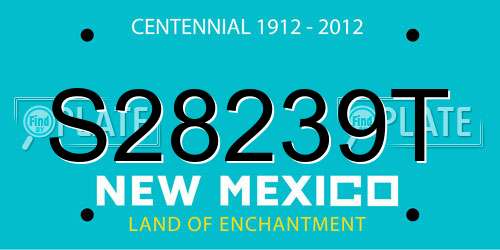 S28239T New Mexico License Plate