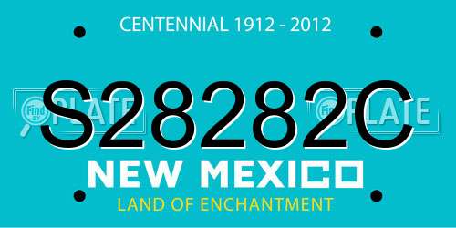 S28282C New Mexico License Plate
