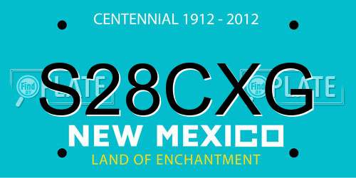 S28CXG New Mexico License Plate